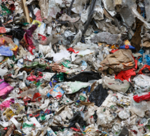 CEL-IMG3-VALORIZAÇÃO